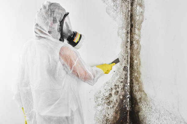 Best Emergency Mold Removal  in Mcnair, VA