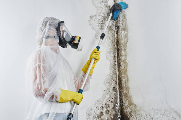 Best Residential Mold Removal  in Mcnair, VA