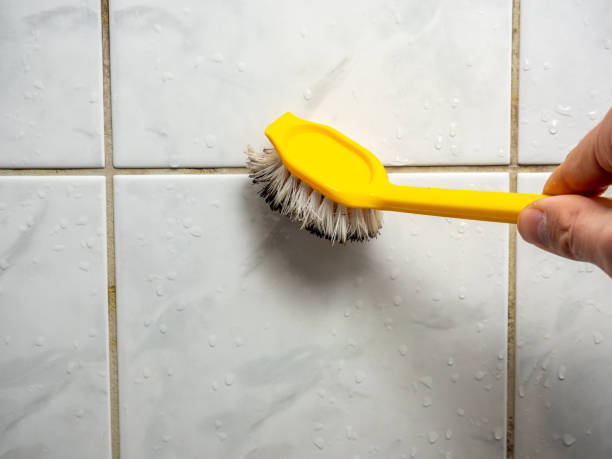 Water Damage Restoration in Mcnair, VA