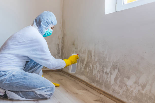 Best Professional Mold Removal  in Mcnair, VA