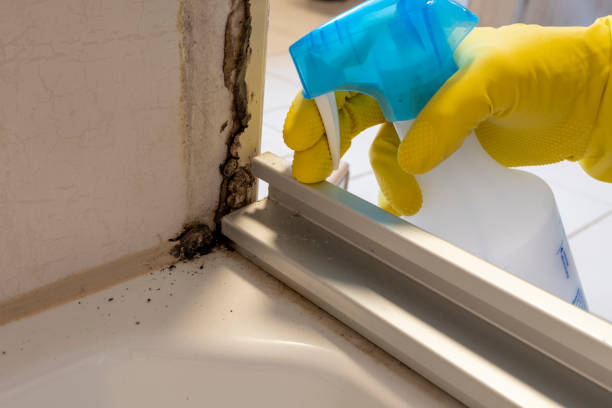 Mold Testing and Removal in Mcnair, VA
