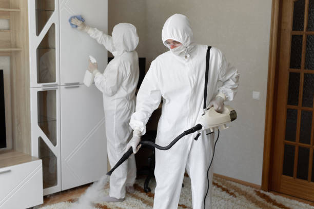 Best Office Mold Removal Services  in Mcnair, VA