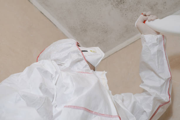 Best Black Mold Removal  in Mcnair, VA