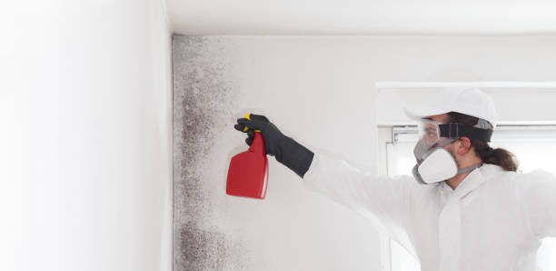Mcnair, VA Mold Removal Company